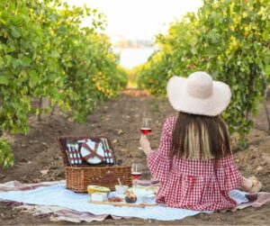 Local Wine Produce in Groblershoop - Orange River Cellars