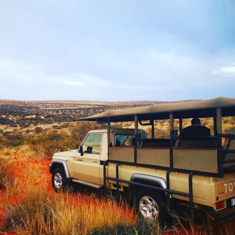 Hunting Safari in Groblershoop - Orange River Hunting & Safari's