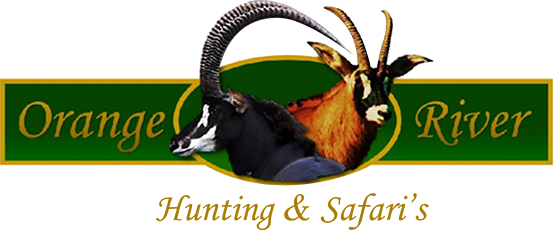 Orange River Hunting & Safari's Logo