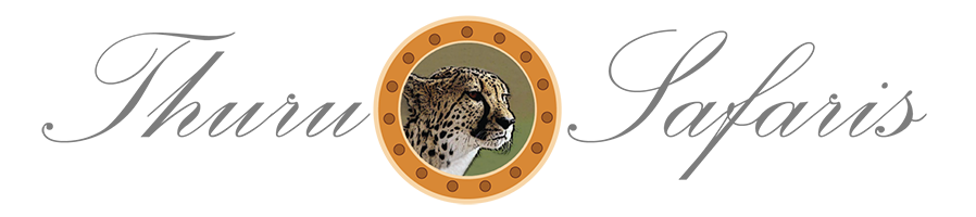 Thuru Game Lodge logo
